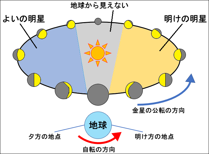  AUDを示すMCVレベルは何ですか?